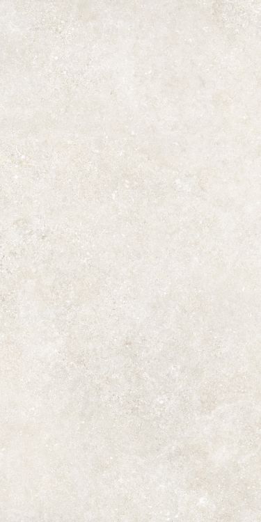 Untamed Wander White 24 x 48